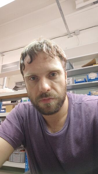  -,   , 43 ,   ,   