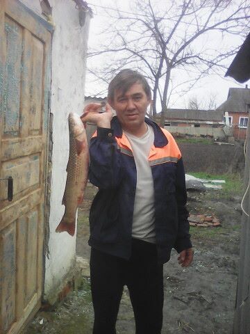  ,   Breeze, 61 ,   ,   