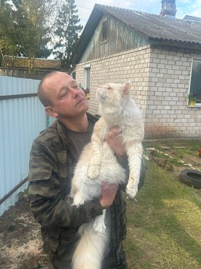  ,    , 43 ,   ,   , c , 