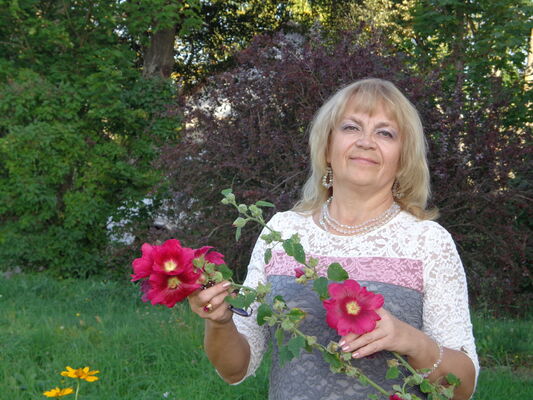   ,   , 62 ,     