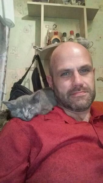  ,   , 51 ,   ,   , c 