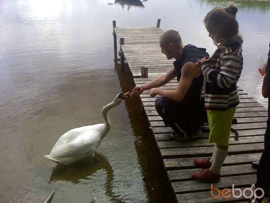  ,   Sexandparty, 38 ,   
