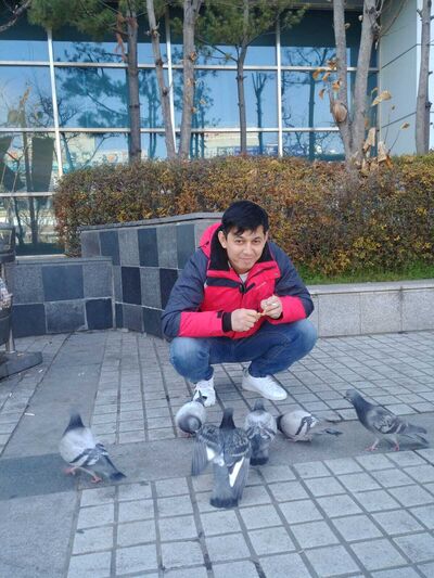  ,   , 38 ,   ,   