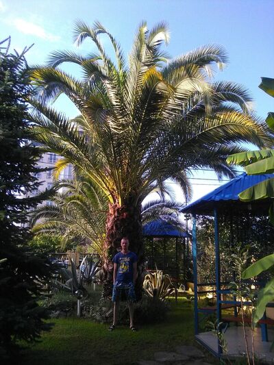  ,   , 42 ,  