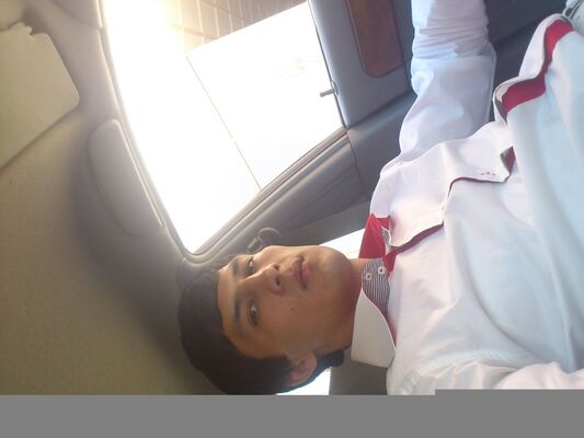  ,   TEMUR, 40 ,   ,   , c 