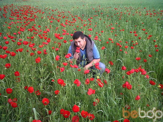  ,   Babek, 41 ,     , c 