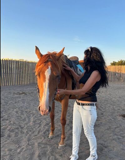  ,   , 54 ,     , c , 