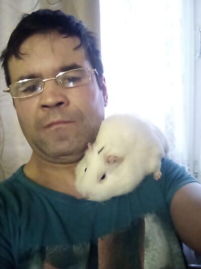  ,   , 44 ,   ,   , c , 