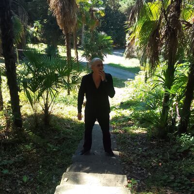  ,   Bebia, 41 ,   ,   