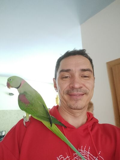 ,   , 45 ,     