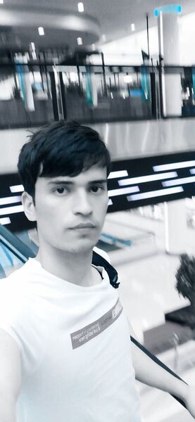  ,   Daler, 24 ,   ,   