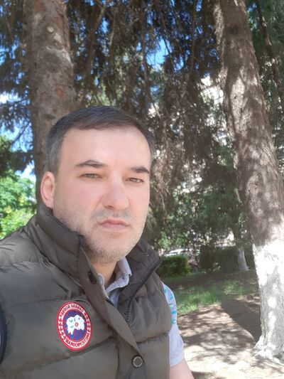  -,   Zayr, 41 ,   ,   , c , 