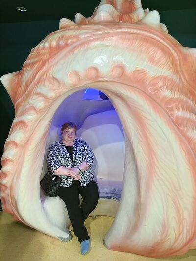   ,   , 51 ,   ,   , c , 