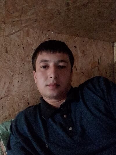  -,   Macho, 29 ,   ,   