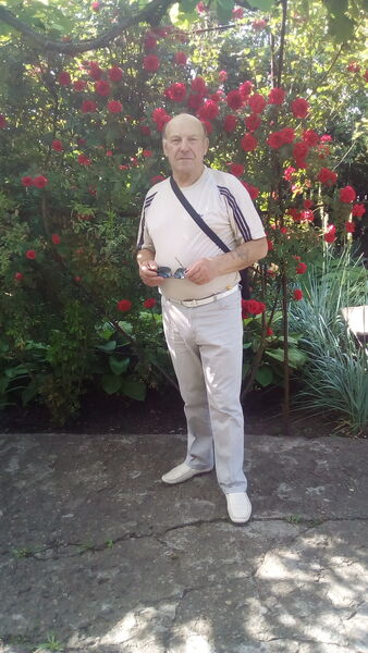  ,   , 74 ,   ,   