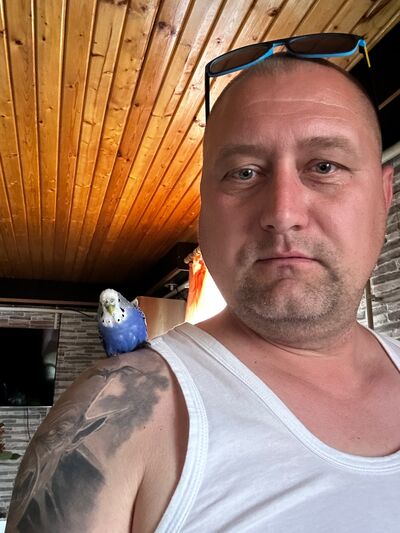  -,   , 38 ,   ,   , c , 