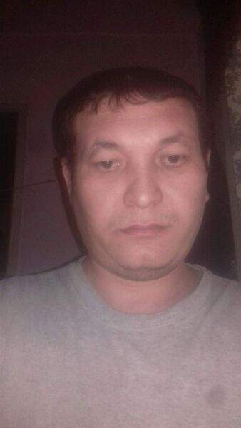  ,   Nuridin, 38 ,   ,   