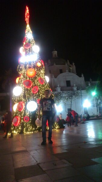  Bragadiru,   , 39 ,   ,   