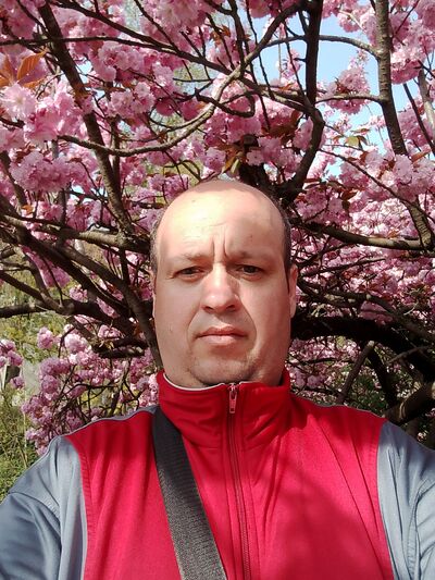  Telgte,   , 38 ,   ,   , c 