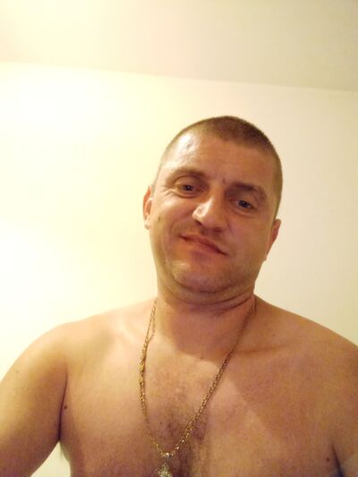  Gliwice,   Dimon, 40 ,   ,   