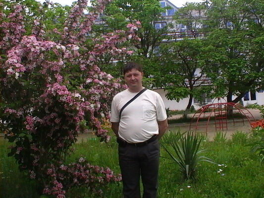  -,   , 52 ,   