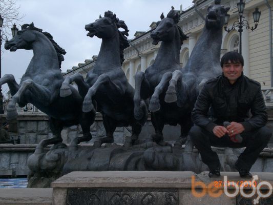  ,   Damir, 40 ,   ,   , c 