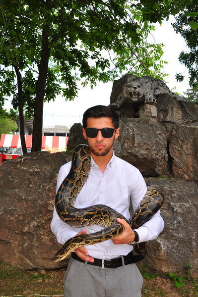  ,   Imomali, 31 ,   ,   , c 