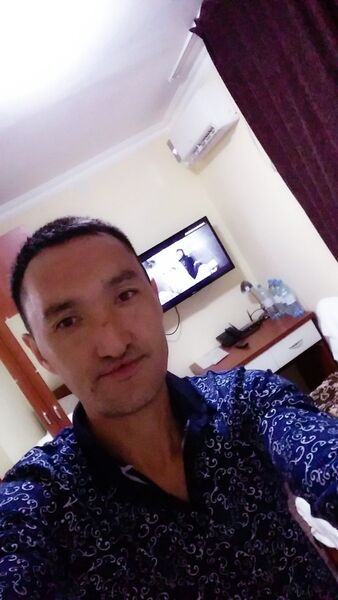  ,   Asko, 40 ,   ,   , c 