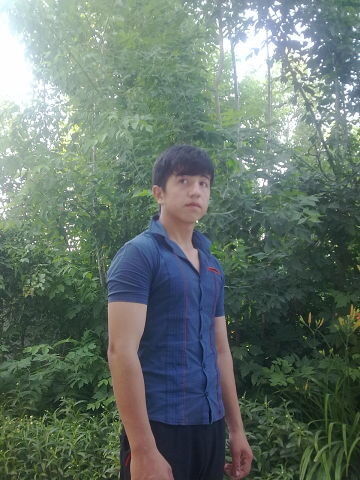  ,   , 33 ,   