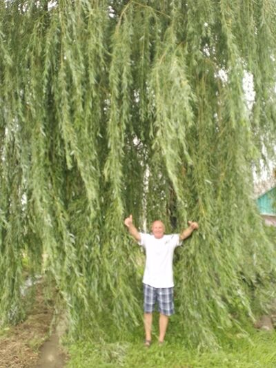  --,   Aleksandr, 66 ,   c 