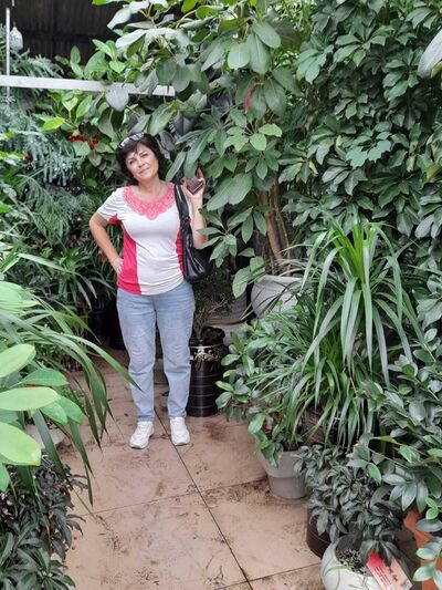 ,   , 58 ,   ,   