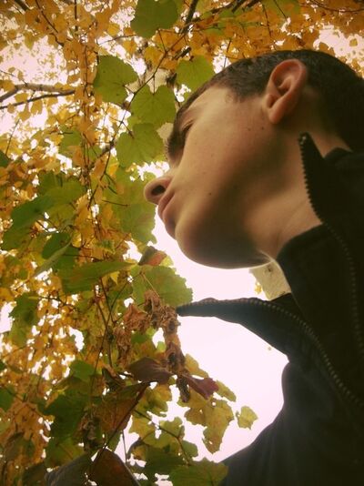  ,   Maks, 29 ,   ,   , c 