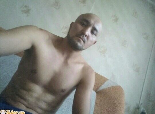  20577316  , 41 ,    