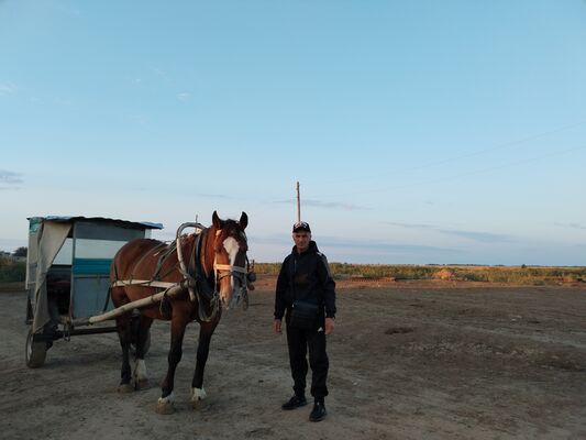  ,   , 58 ,   ,   , c , 