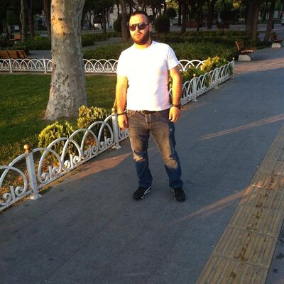  ,   LINO, 31 ,   ,   , c 