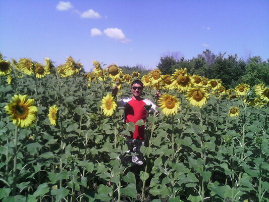 ,   Bek, 43 ,   