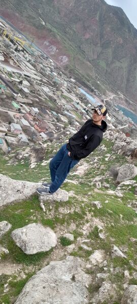  ,   BORZ, 31 ,   ,   