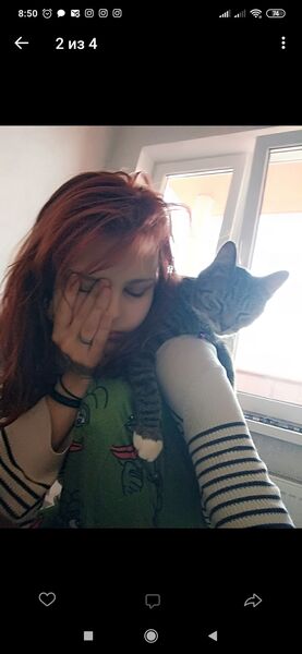  -,   , 26 ,  