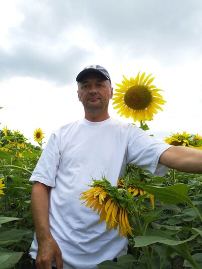  -,   , 55 ,   ,   , c 