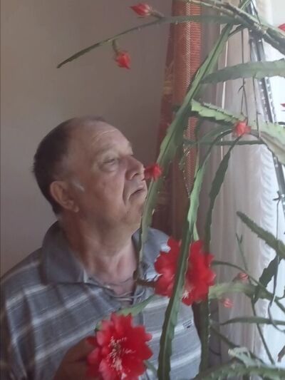  ,   , 73 ,   ,   