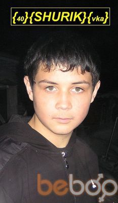   ,   SHURIK, 33 ,     , c 