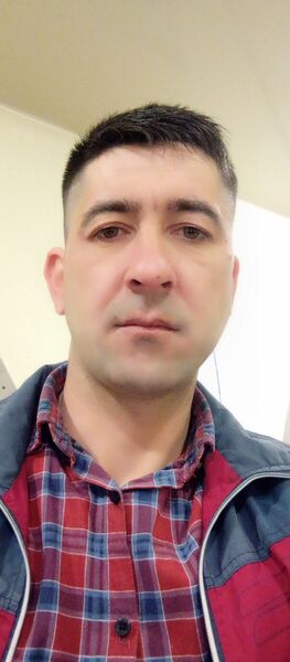  ,   Niezov, 35 ,   ,   