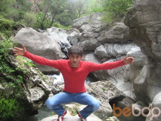 ���������� ������, ���� ������� PRINCE, 33 ����, ������������ ��� ����� � ���������, c�������� ���������