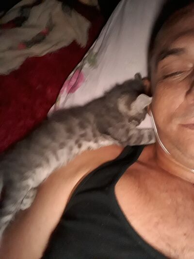  ,   , 51 ,   