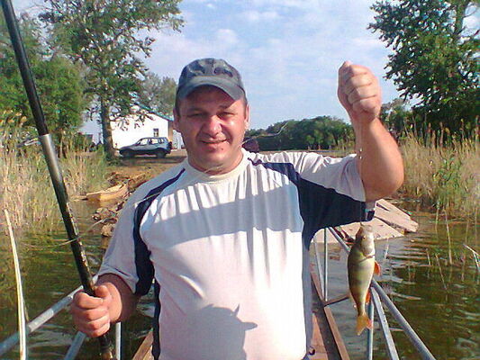  -,   , 52 ,   ,   , c 