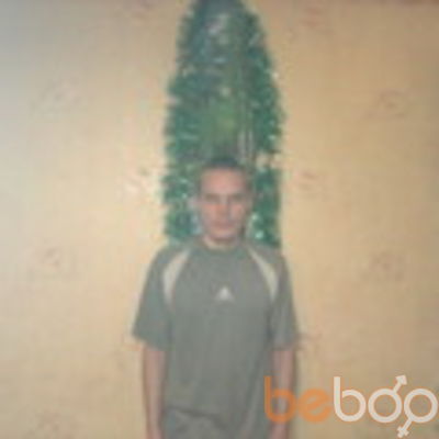  ,   Dobermann, 34 ,   