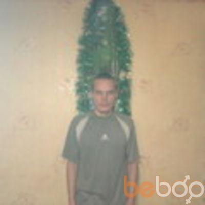  ,   Dobermann, 33 ,   