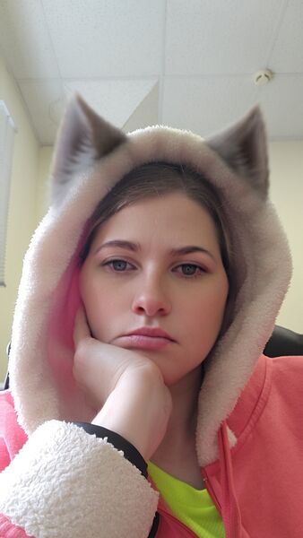  ,   Wild cats, 34 ,     , c 