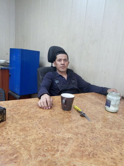  -,   , 41 ,  