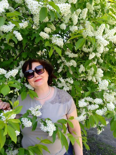  ,   , 56 ,   ,   , 